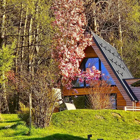 Mountains & Lakes - Chaletdorf & וילאך